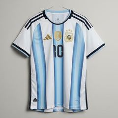 Argentina soccer jersey with number 10 on a green background