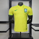 Brazil Home Polo PV 1