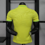 Brazil Home Polo PV 1